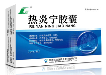 热炎宁胶囊处方